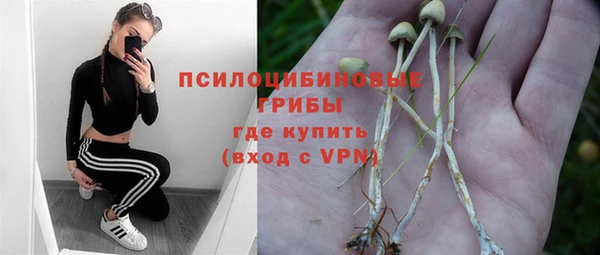 гашиш Каменногорск