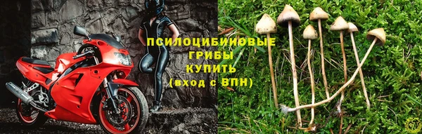 кокаин перу Касимов