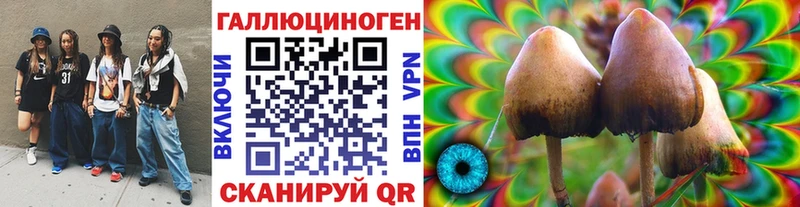 darknet формула  Поронайск  Псилоцибиновые грибы Magic Shrooms  наркотики 
